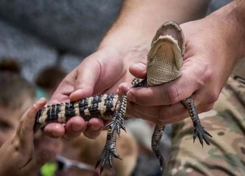 犹他爵士训练开放日，今晚战术微调引欢呼，社区盾在即，医务组通报恢复的简单介绍-爱游戏全站